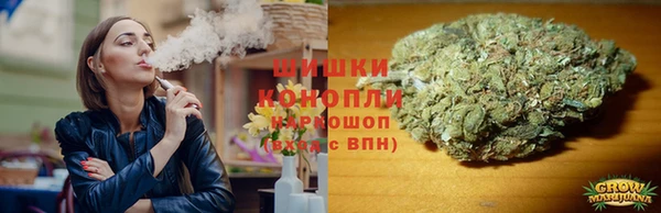 PSILOCYBIN Белоозёрский