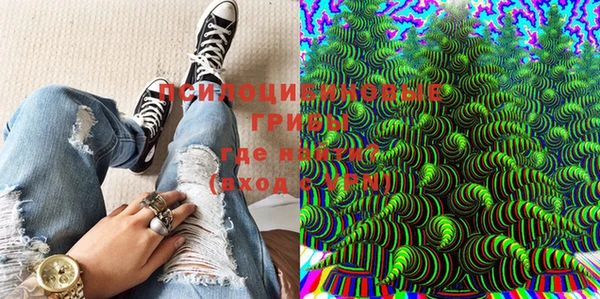 PSILOCYBIN Белоозёрский
